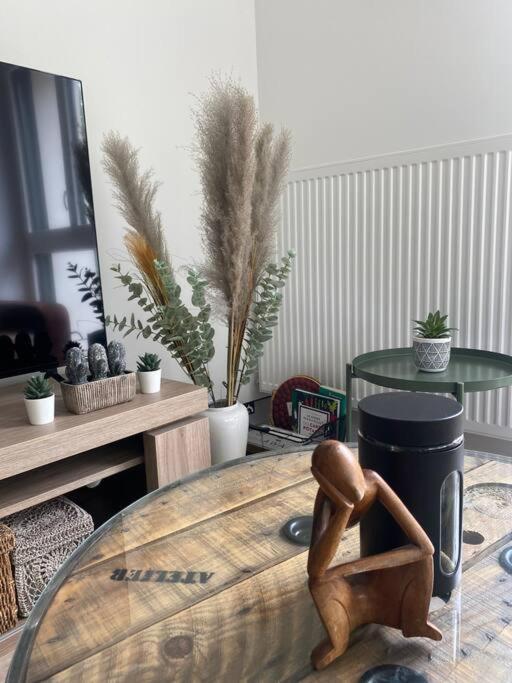 T3 Cosy Et Lumineux Avec Terrasse *